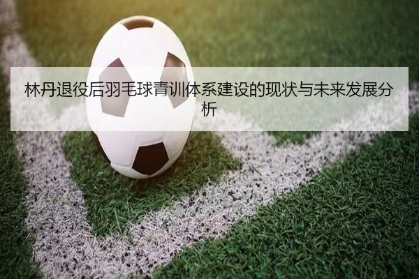 林丹退役后羽毛球青训体系建设的现状与未来发展分析